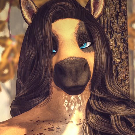 ― Owner &amp; Admin ― Drake